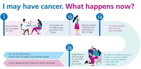 graphic showing patient information following urgent suspected cancer referral.  All information on graphic is on webpage